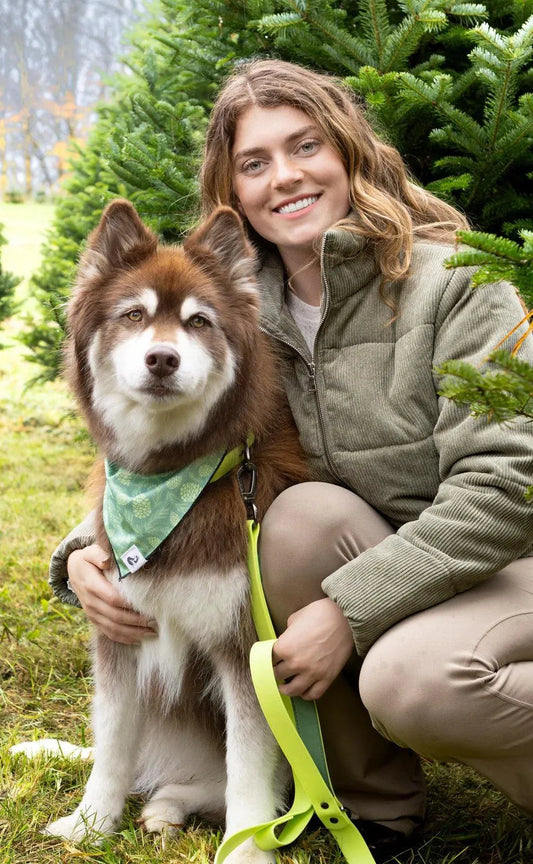 Waterproof Pet Leash