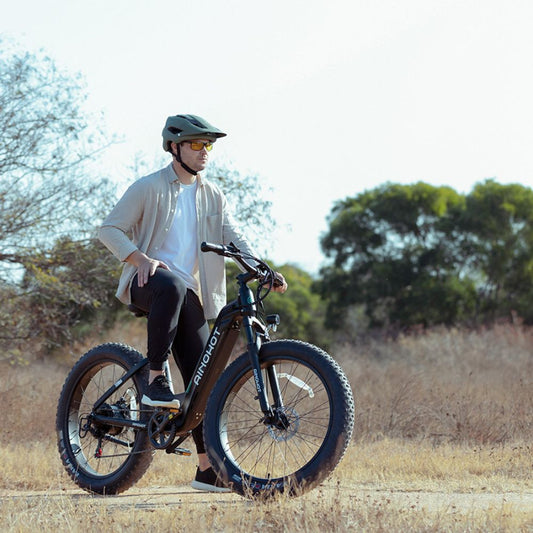 Electric Bike