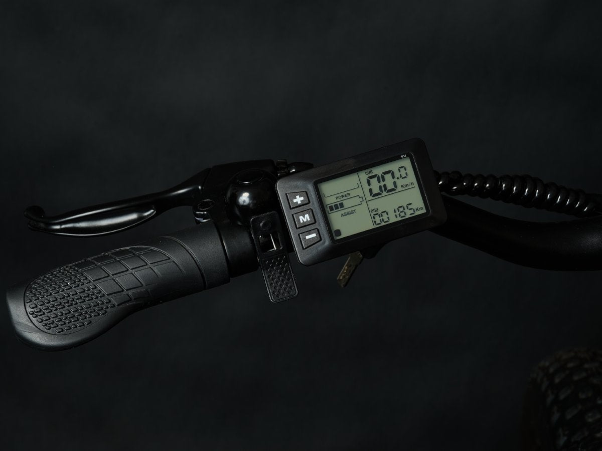 Electric Bike