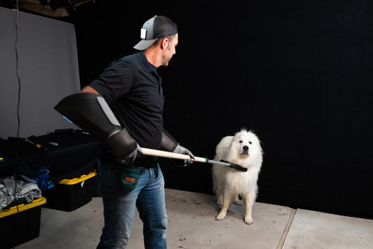 Safe Animal Handling