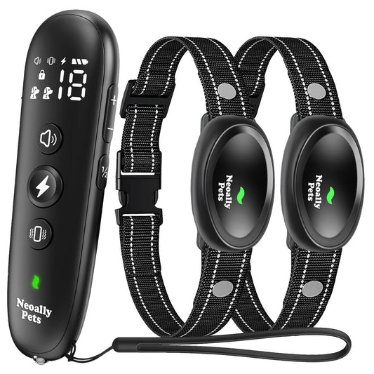 Dog Training Collar