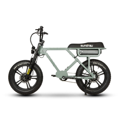 Electric Bike