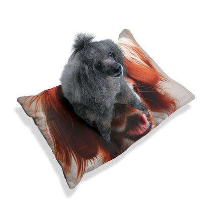 Dog Bed