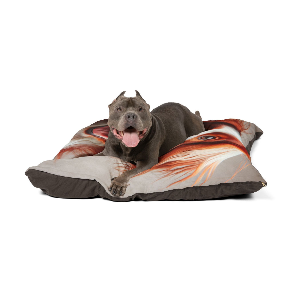 Dog Bed