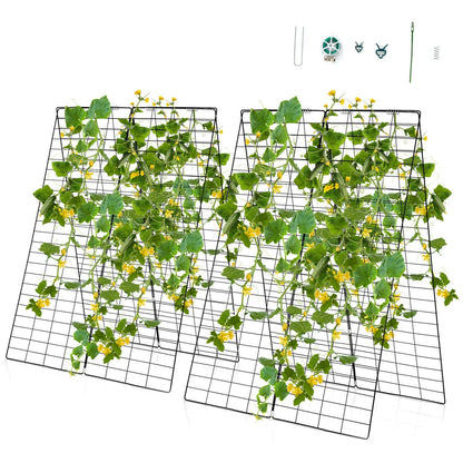 Trellis Plant Support