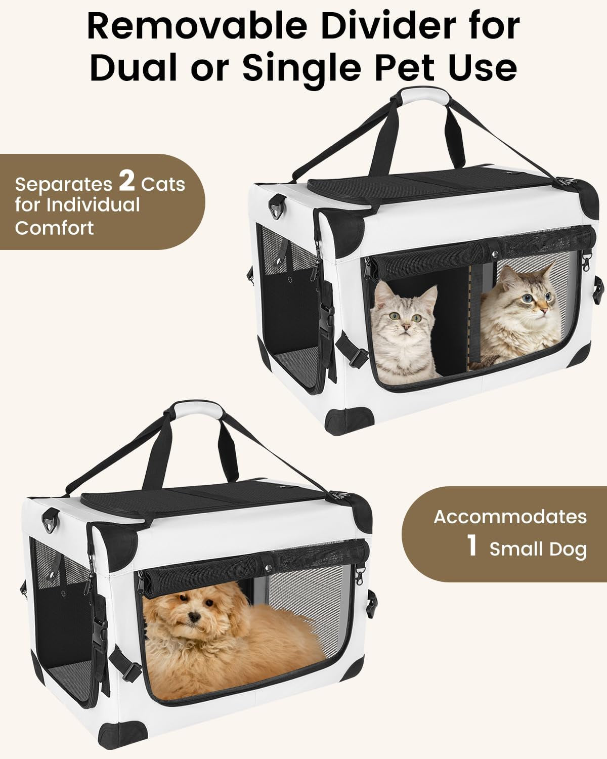 Large Cat Carrier for 2 Cats