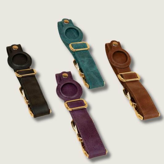 Air  Tag Dog Collar