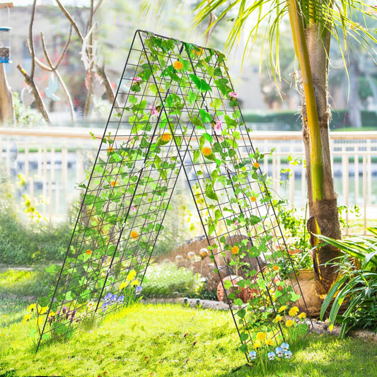 Trellis Plant Support