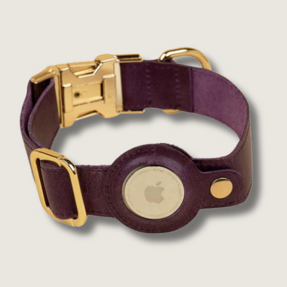 Air Tag Dog Collar