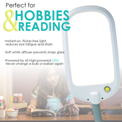LED  Desk Lamp