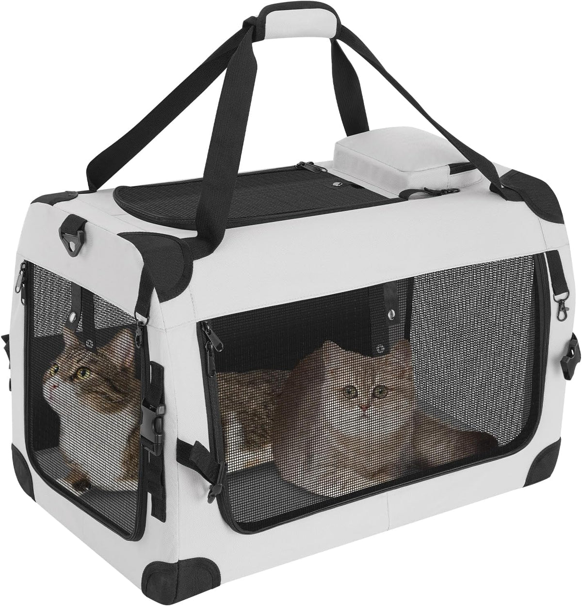 Large Cat Carrier for 2 Cats