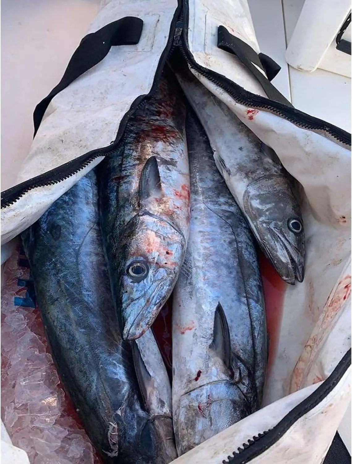 Fish Cooler Bag