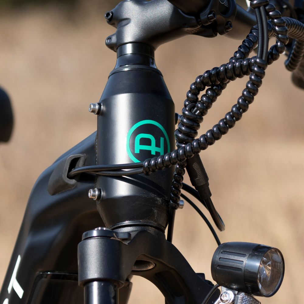 Electric Bike