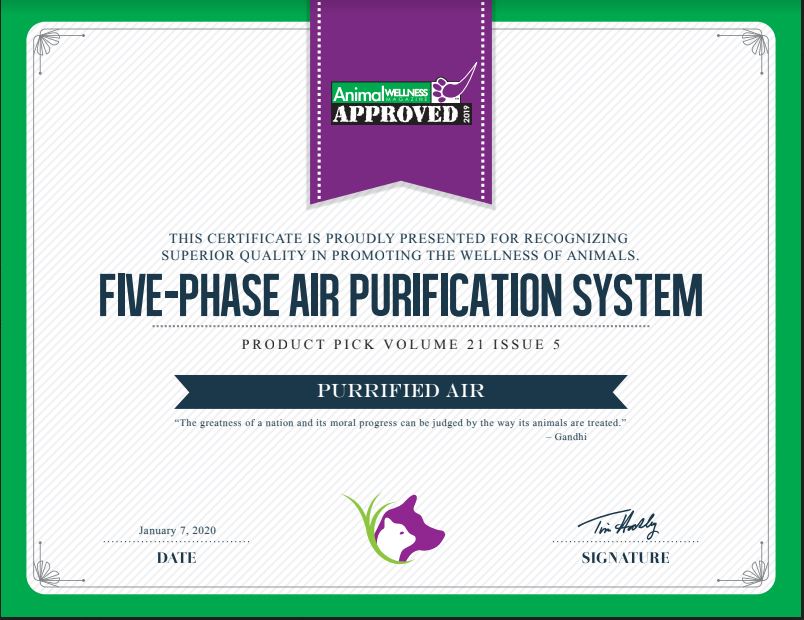 Air Purifier