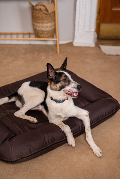 Waterproof Dog Bed