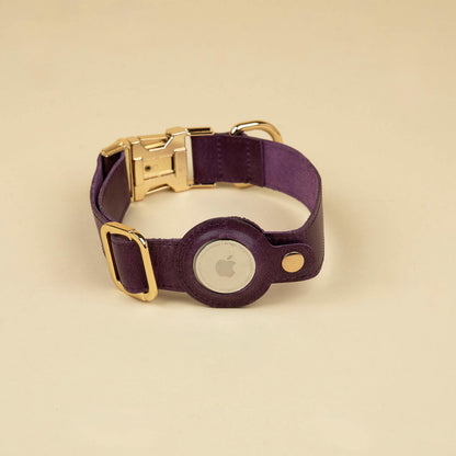 Air Tag Dog Collar