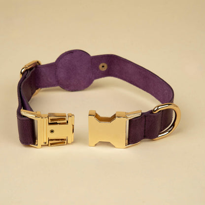Air Tag Dog Collar