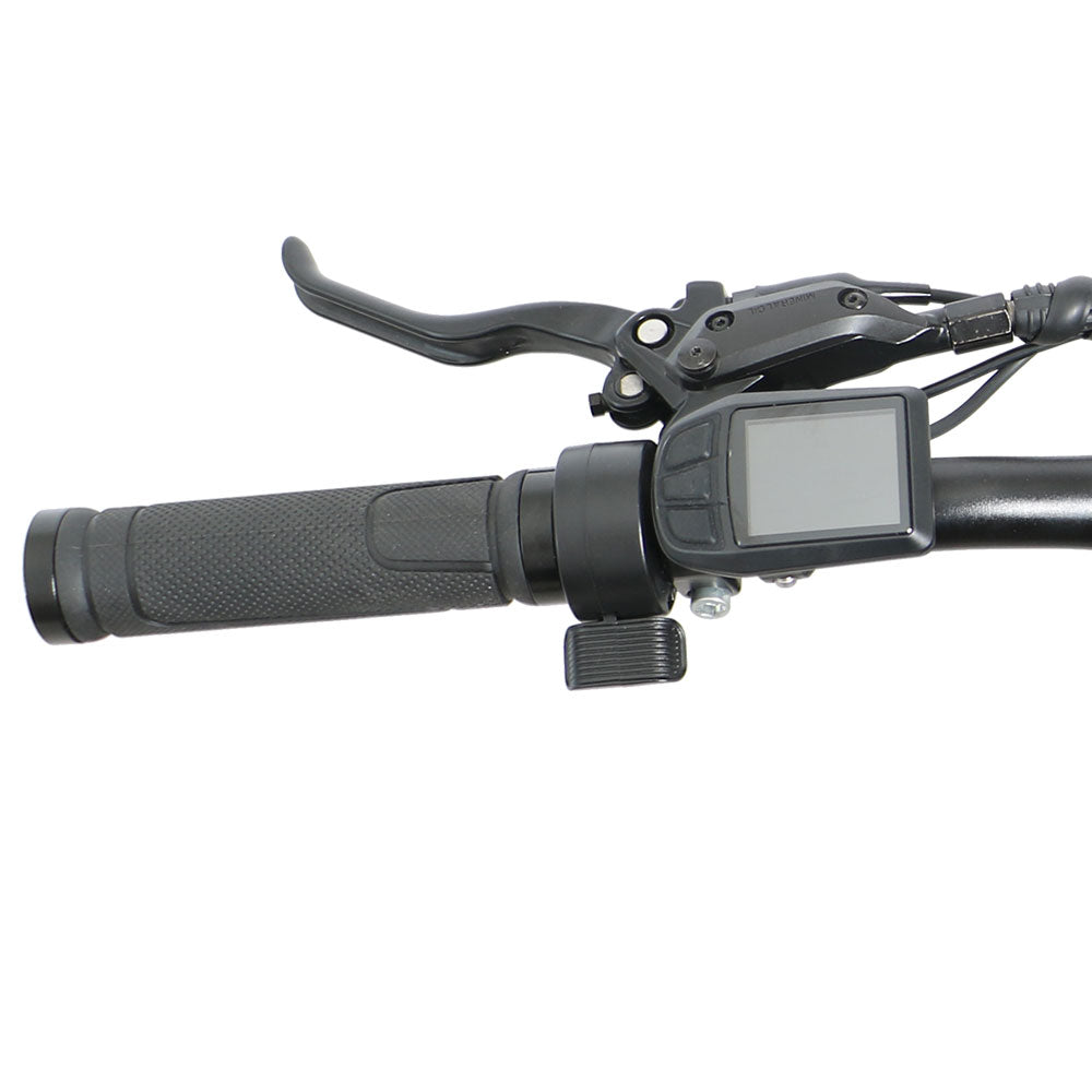 Electric Bike