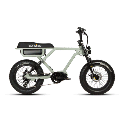 Electric Bike