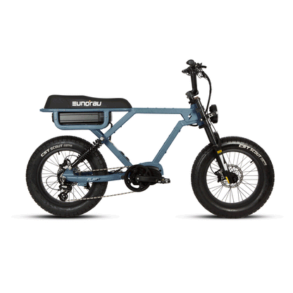 Electric Bike