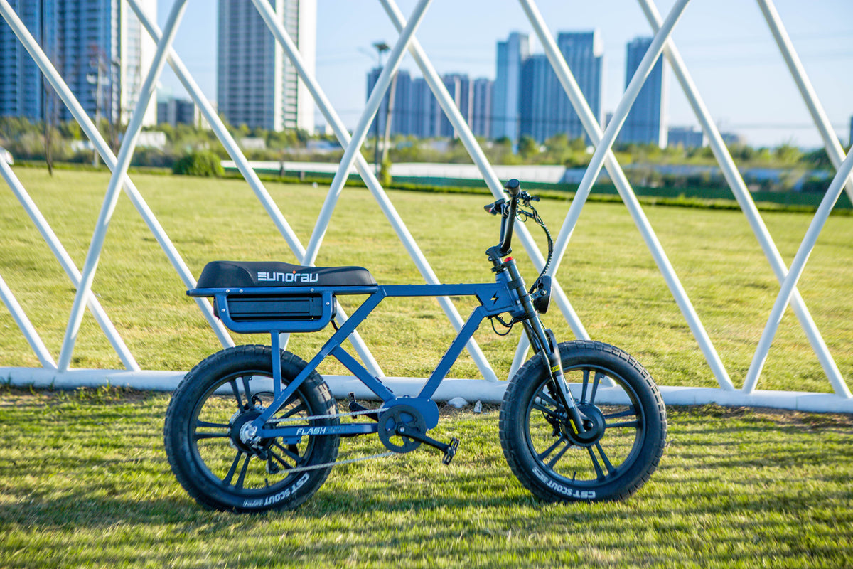 Electric Bike