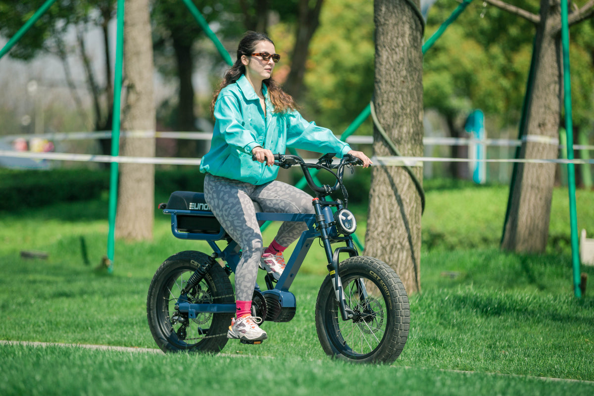 Electric Bike
