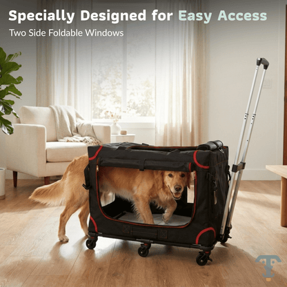 Pet Carrier