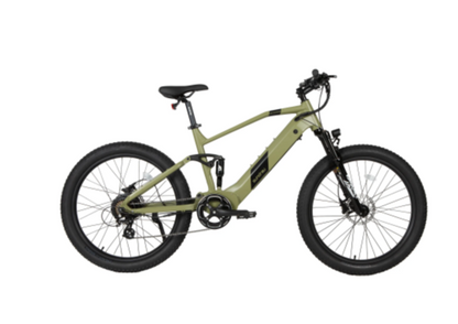 Electric Bike