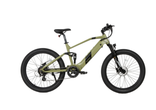 Electric Bike