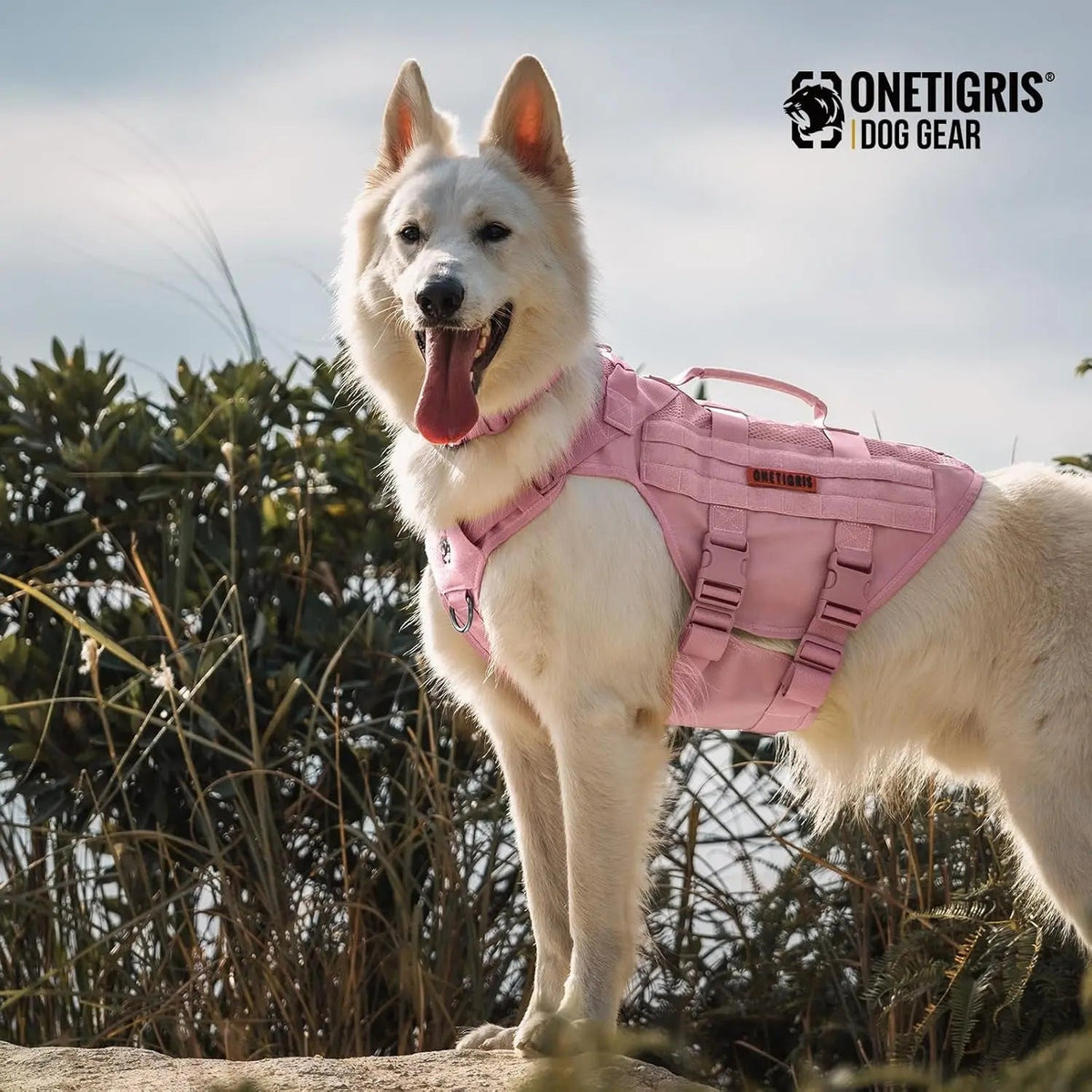 Dog Vest