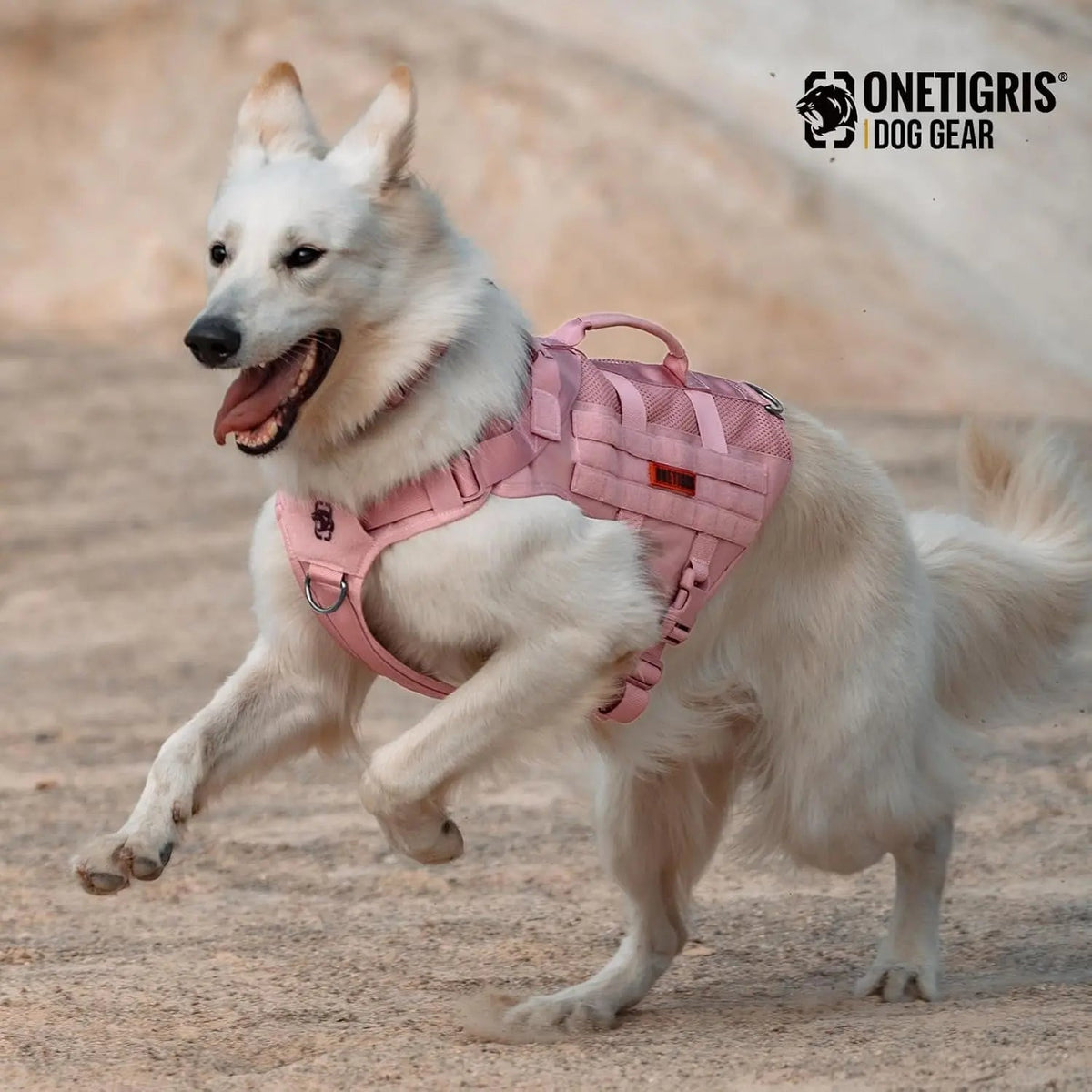 Dog Vest