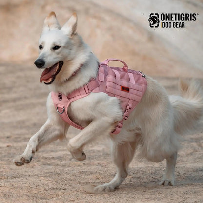 Dog Vest