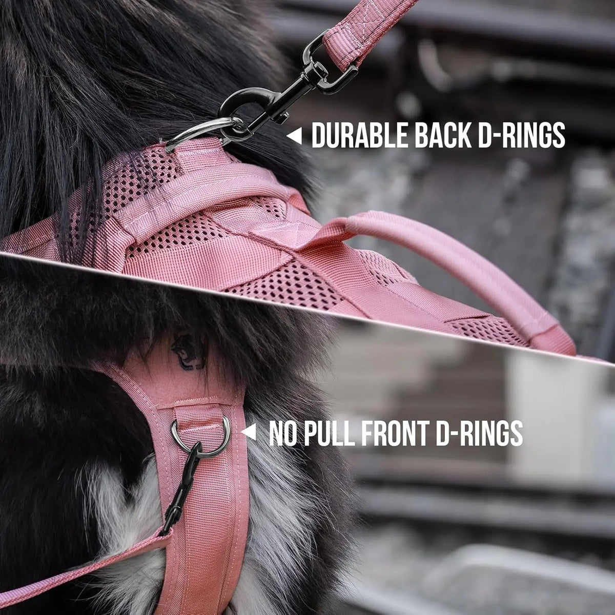 Dog Vest