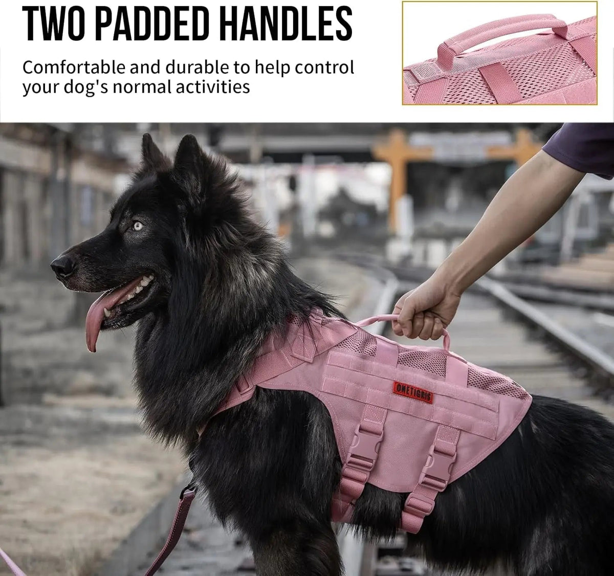 Dog Vest