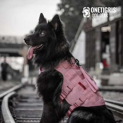 Dog Vest