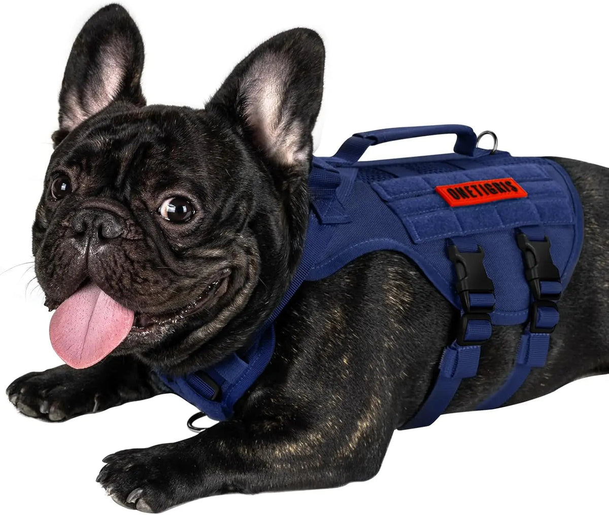 Dog Vest