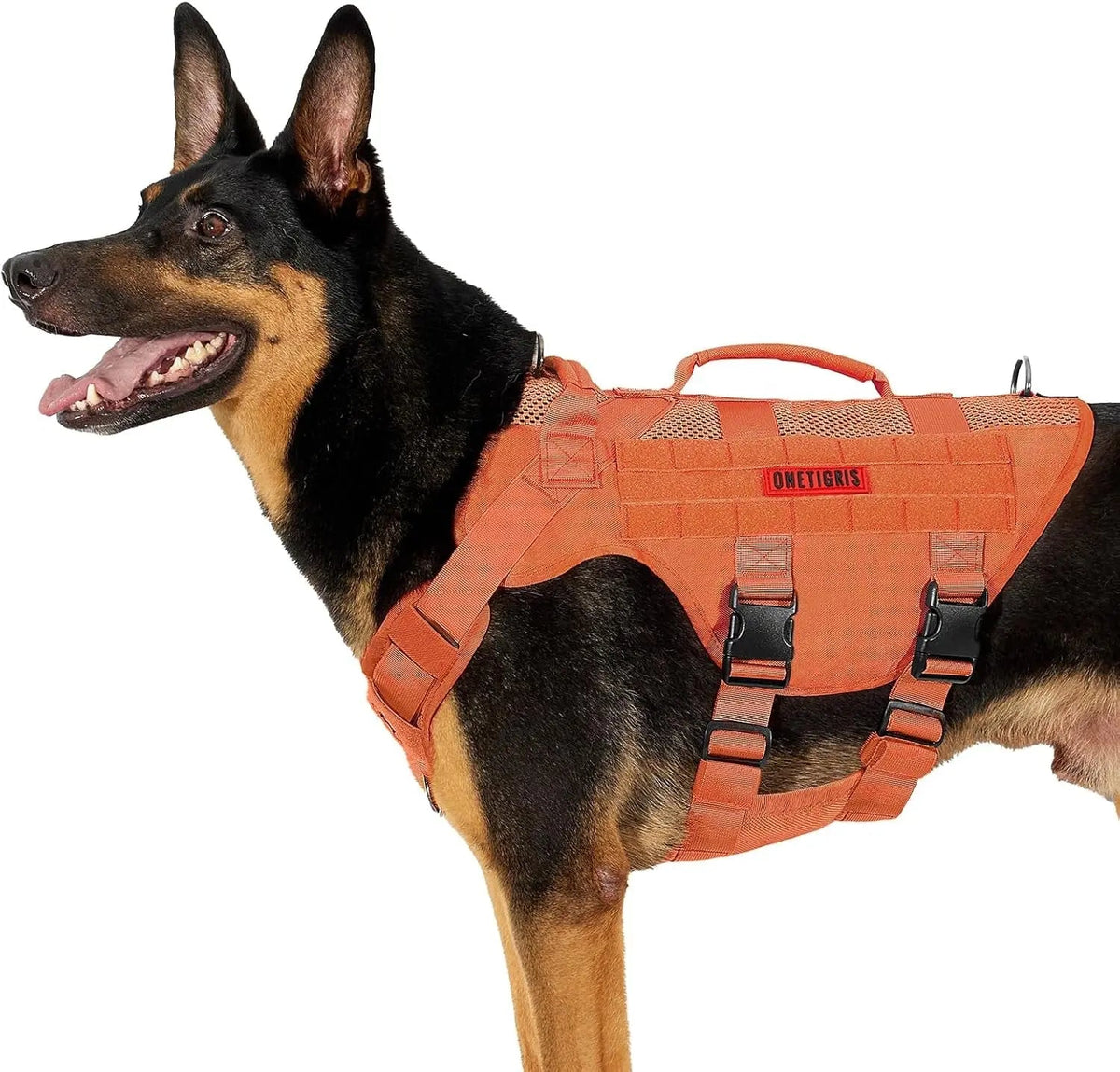 Dog Vest