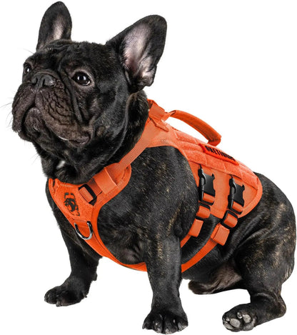 Dog Vest