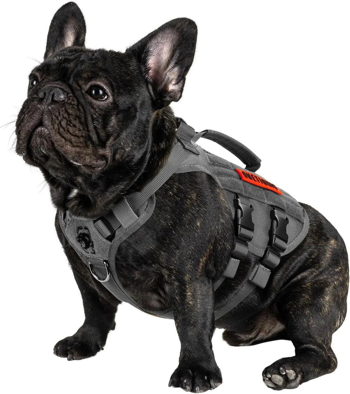 Dog Vest