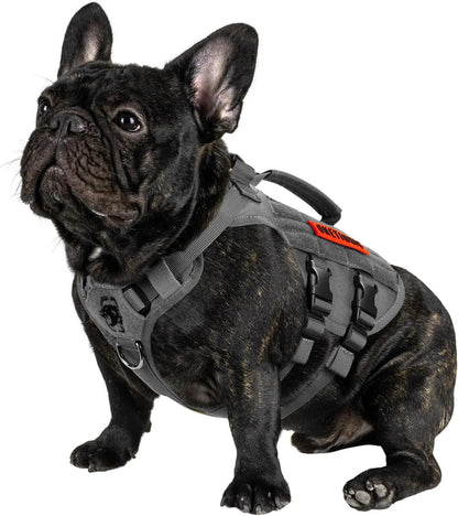 Dog Vest