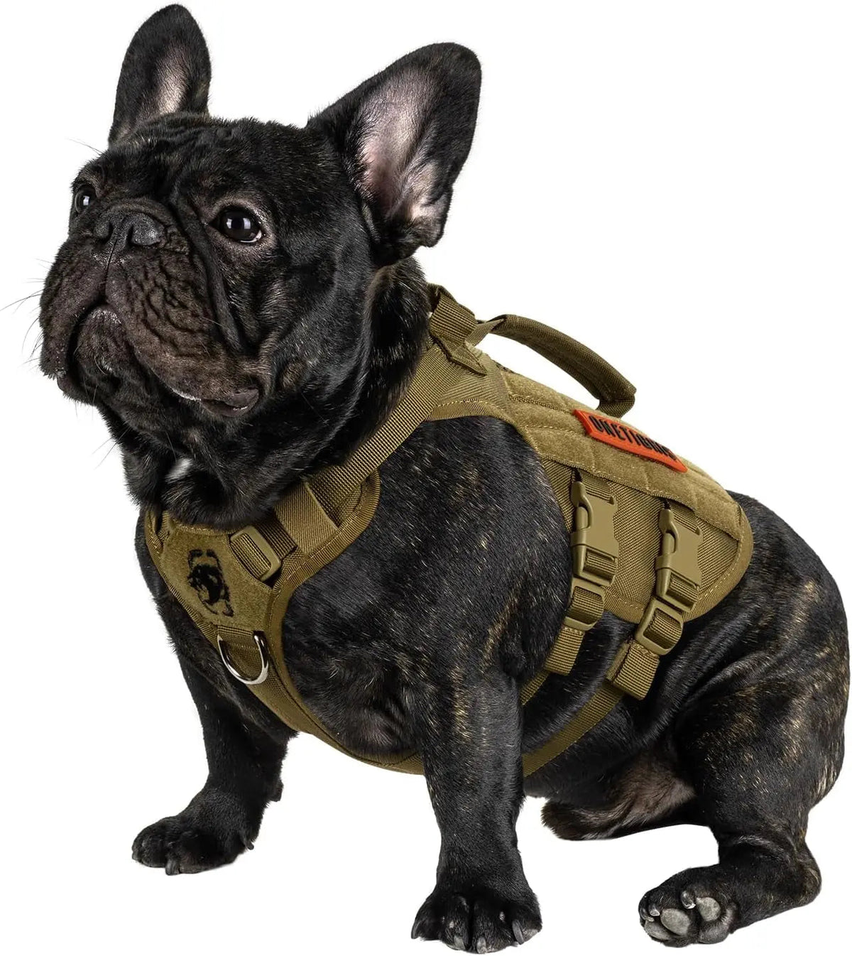 Dog Vest