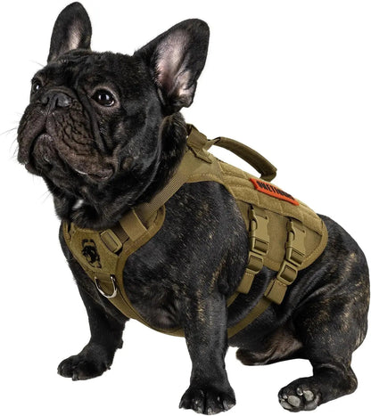 Dog Vest