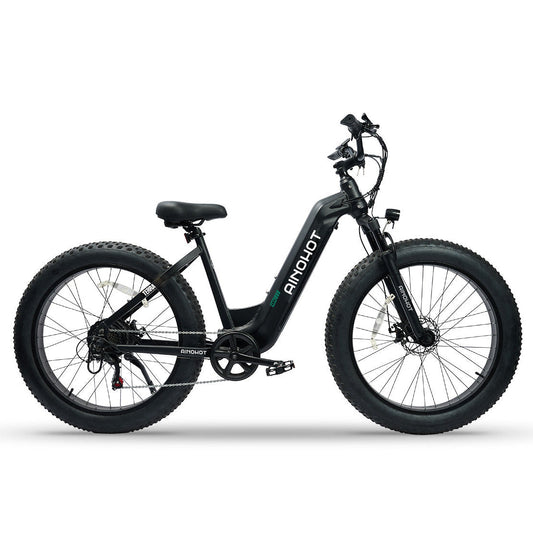 Electric Bike