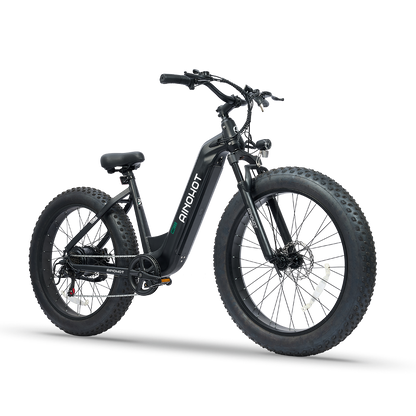 Electric Bike