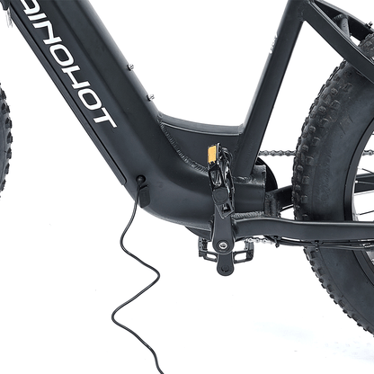 Electric Bike