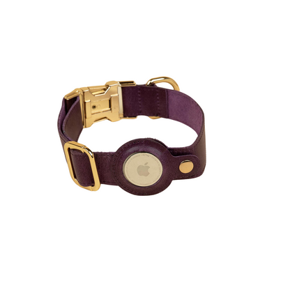 Air Tag Dog Collar