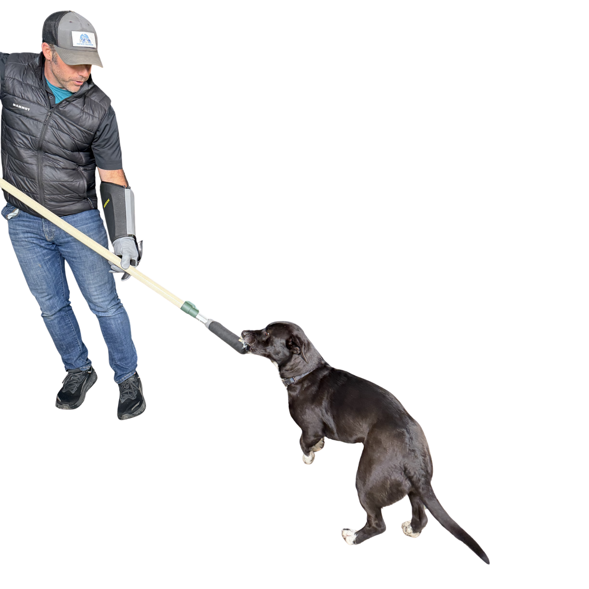 Safe Animal Handling