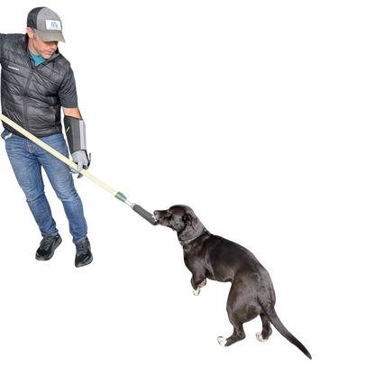 Safe Animal Handling