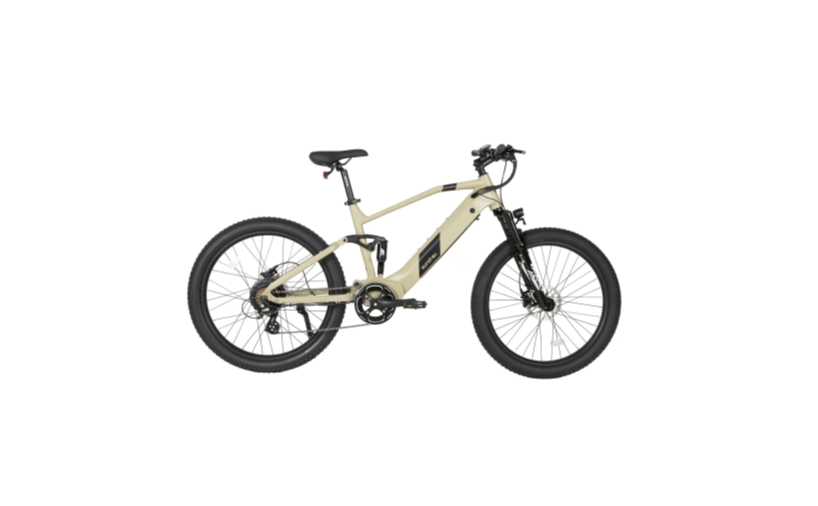 Electric Bike