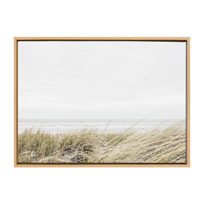 Framed Canvas Art